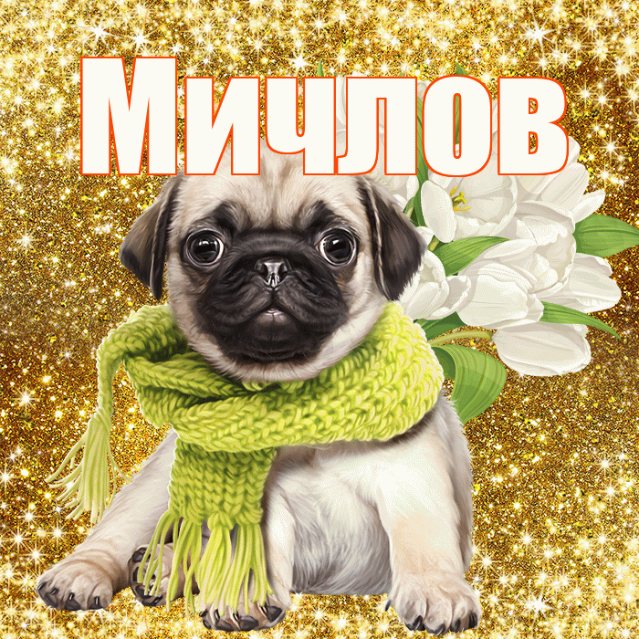 Мичлов! С 8 марта! Красивая открытка Мичлу!