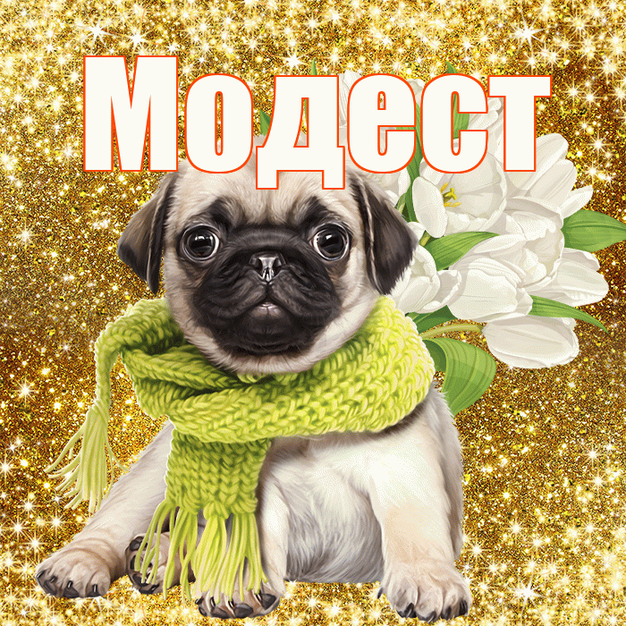 Модест! С 8 марта! Красивая открытка Модесту!