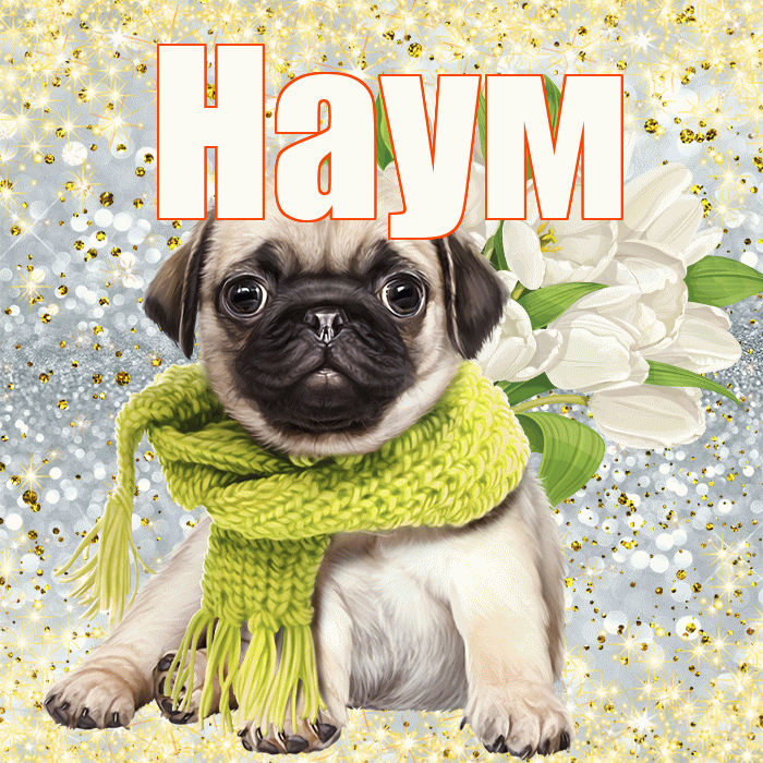Наум! С 8 марта! Красивая открытка Науму!