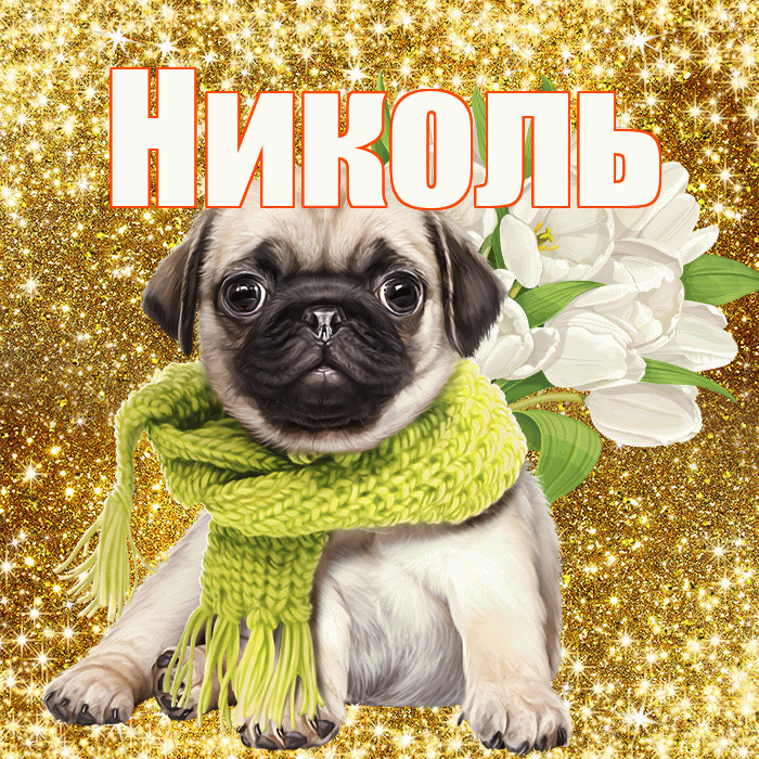 Николь! С 8 марта! Красивая открытка НИКОЛЬ!