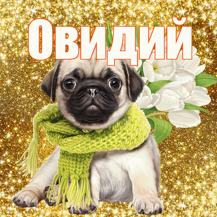 Овидий! С 8 марта! Красивая открытка Овидию!