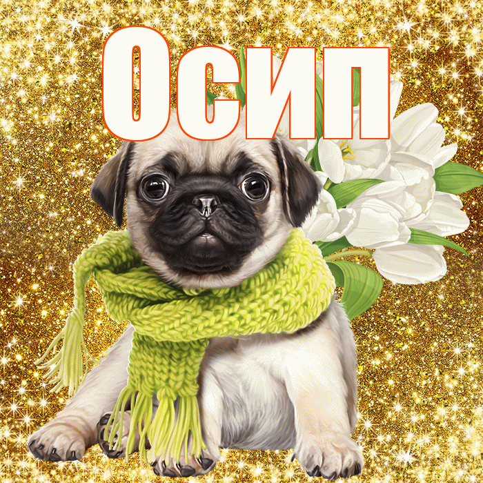 Осип! С 8 марта! Красивая открытка Осипу!