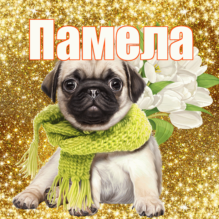 Памела! С 8 марта! Красивая открытка Памеле!