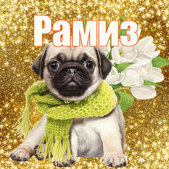 Рамиз! С 8 марта! Красивая открытка Рамизу!