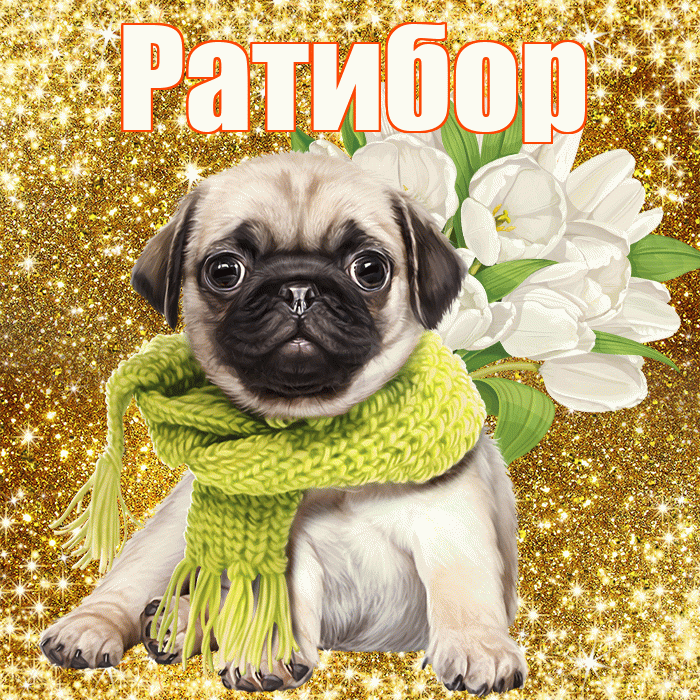 Ратибор! С 8 марта! Красивая открытка Ратибору!
