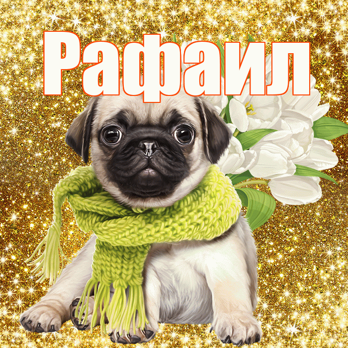 Рафаил! С 8 марта! Красивая открытка Рафаилу!