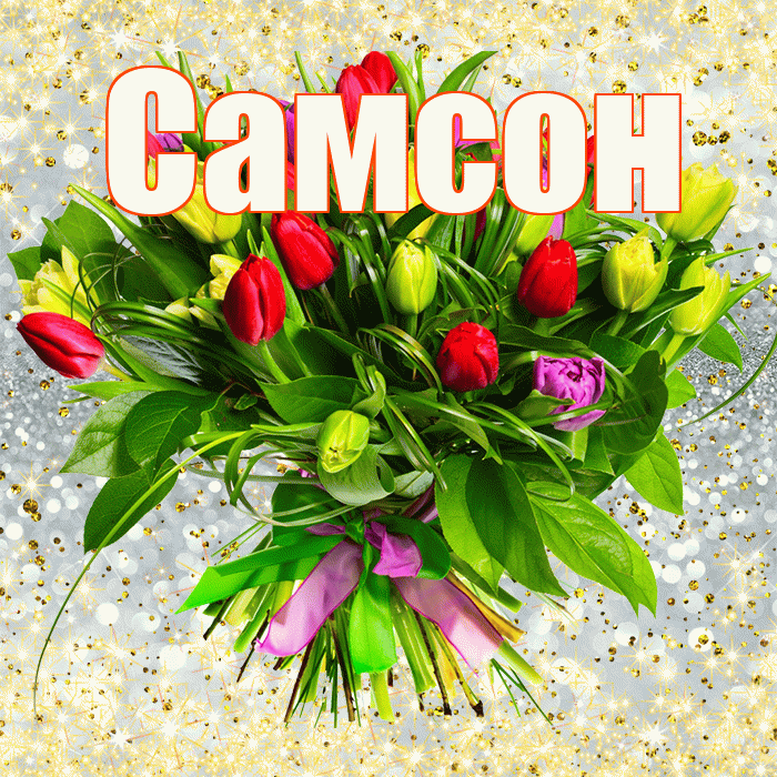 Самсон! С 8 марта! Красивая открытка Самсону!
