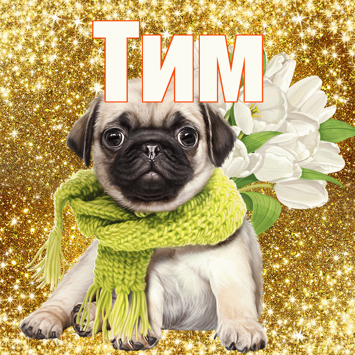 Тим! С 8 марта! Красивая открытка !