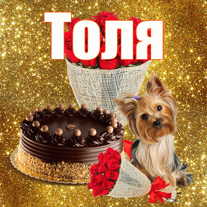 Толя! С 8 марта! Красивая открытка Толю!