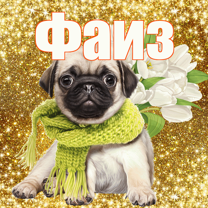 Фаиз! С 8 марта! Красивая открытка Фаизу!