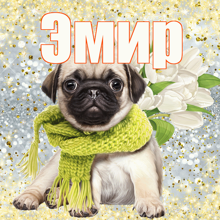 Эмир! С 8 марта! Красивая открытка Эмиру!