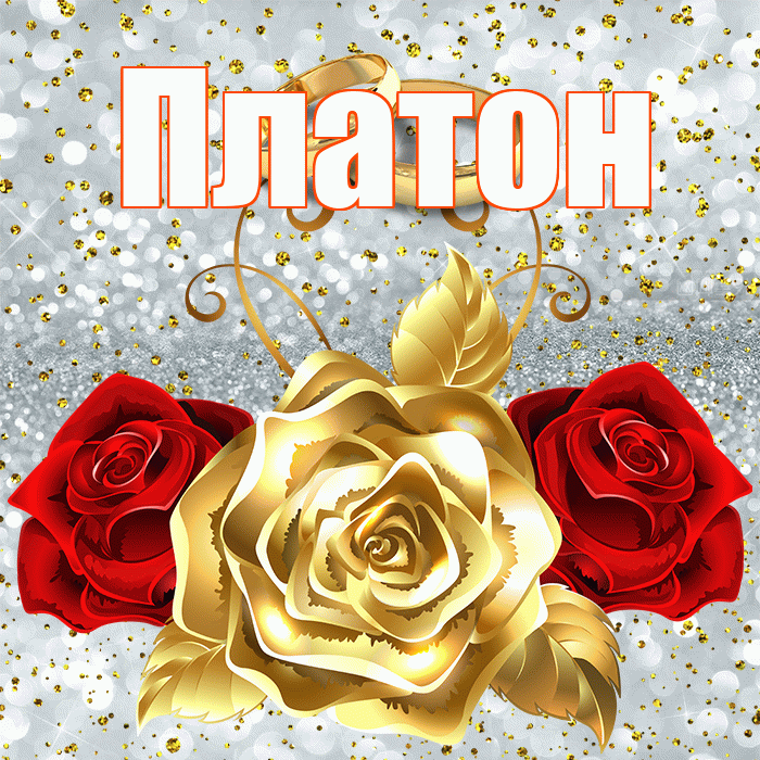 Платон! С годовщиной свадьбы! Красивая открытка Платону!