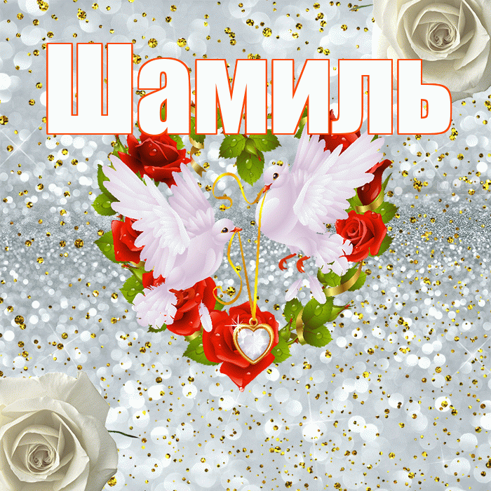 Шамиль! С годовщиной свадьбы! Красивая открытка Шамилю!