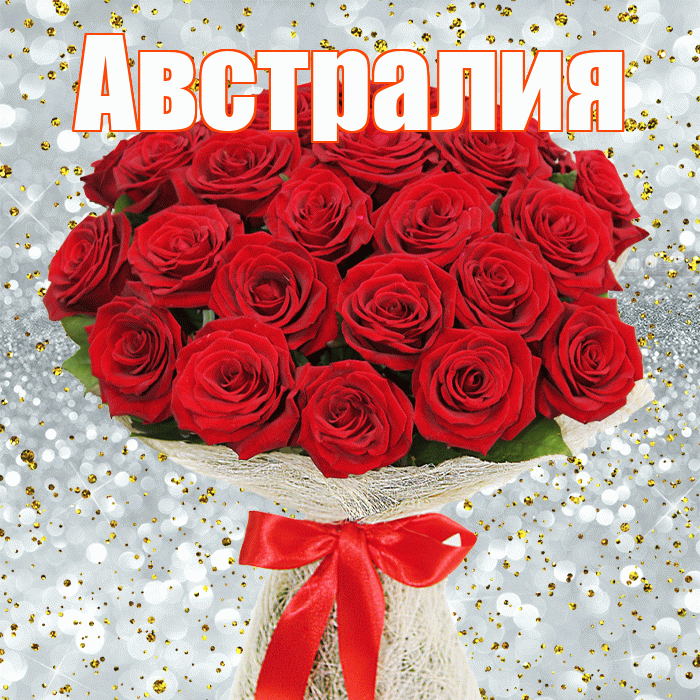 Австралия! С днем бухгалтера! Красивая открытка Австралии!