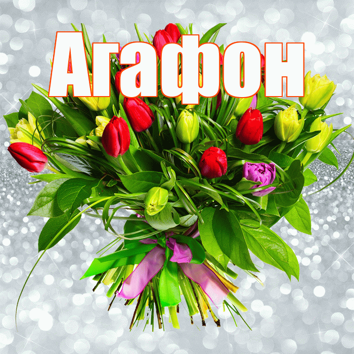 Агафон! С днем бухгалтера! Красивая открытка Агафону!