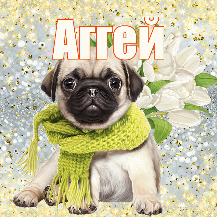 Аггей! С днем бухгалтера! Красивая открытка Аггею!