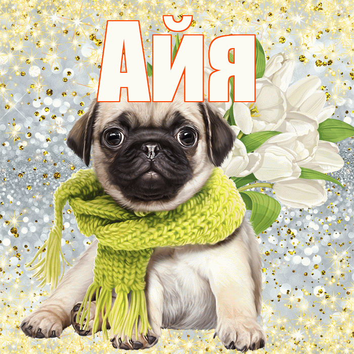Айя! С днем бухгалтера! Красивая открытка !