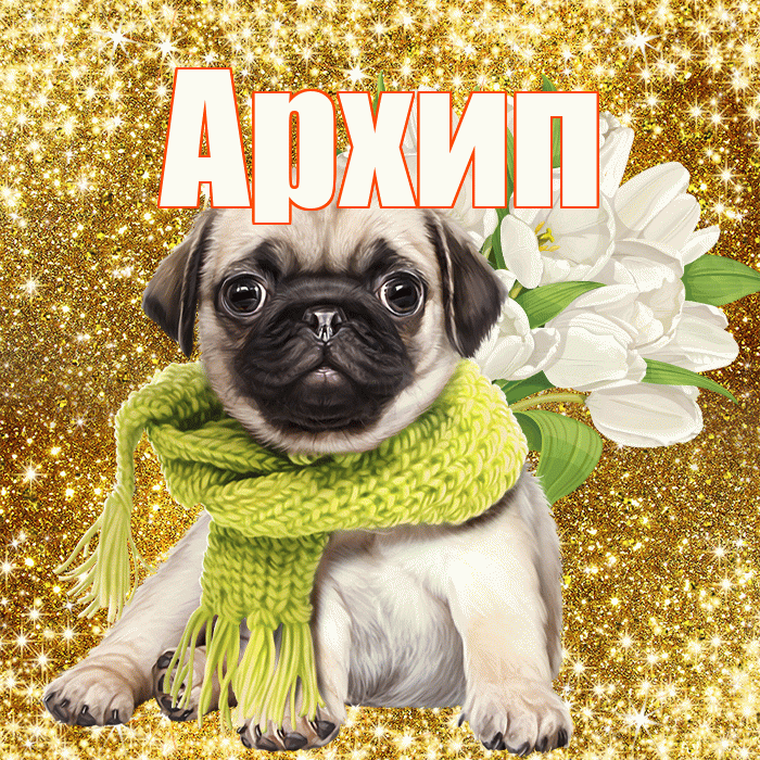 Архип! С днем бухгалтера! Красивая открытка Архипу!