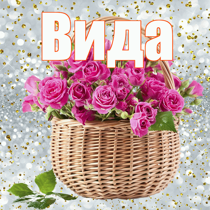 Вида! С днем бухгалтера! Красивая открытка Виду!