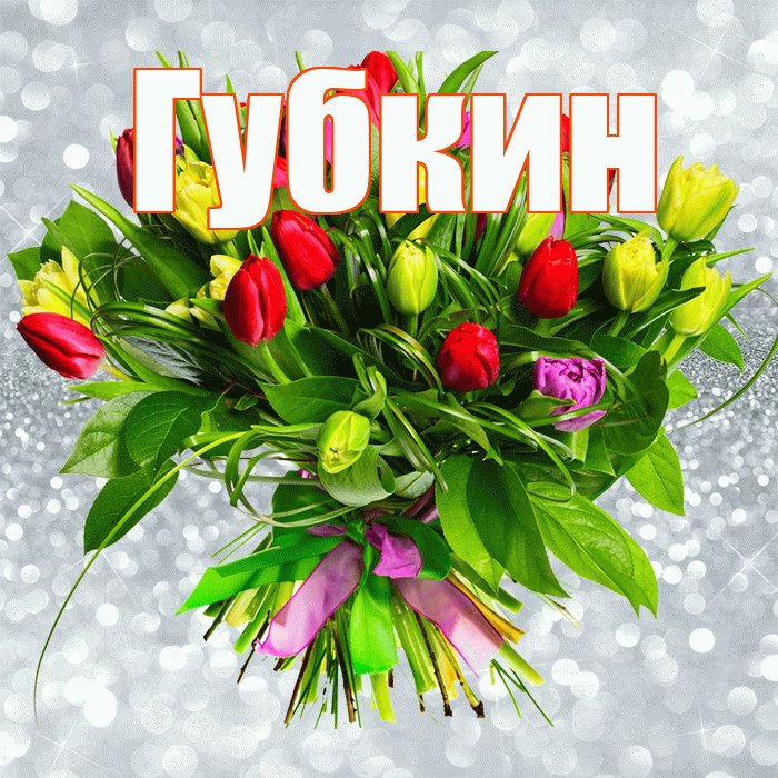 Губкин! С днем бухгалтера! Красивая открытка Губкину!
