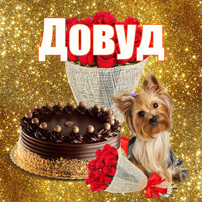 Довуд! С днем бухгалтера! Красивая открытка Довуду!