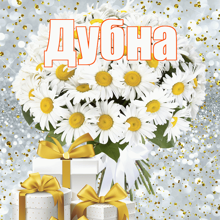Дубна! С днем бухгалтера! Красивая открытка Дубне!