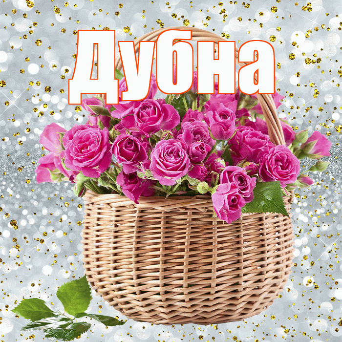 Дубна! С днем бухгалтера! Красивая открытка Дубне!