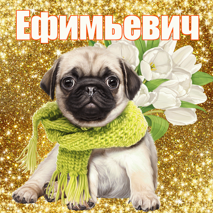 Ефимьевич! С днем бухгалтера! Красивая открытка Ефимьевичу!