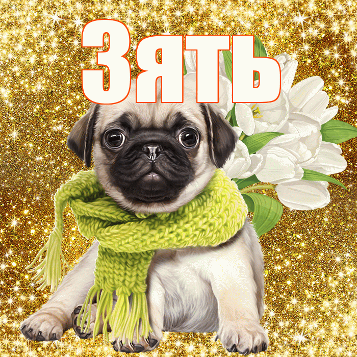 Зять! С днем бухгалтера! Красивая открытка Зятю!