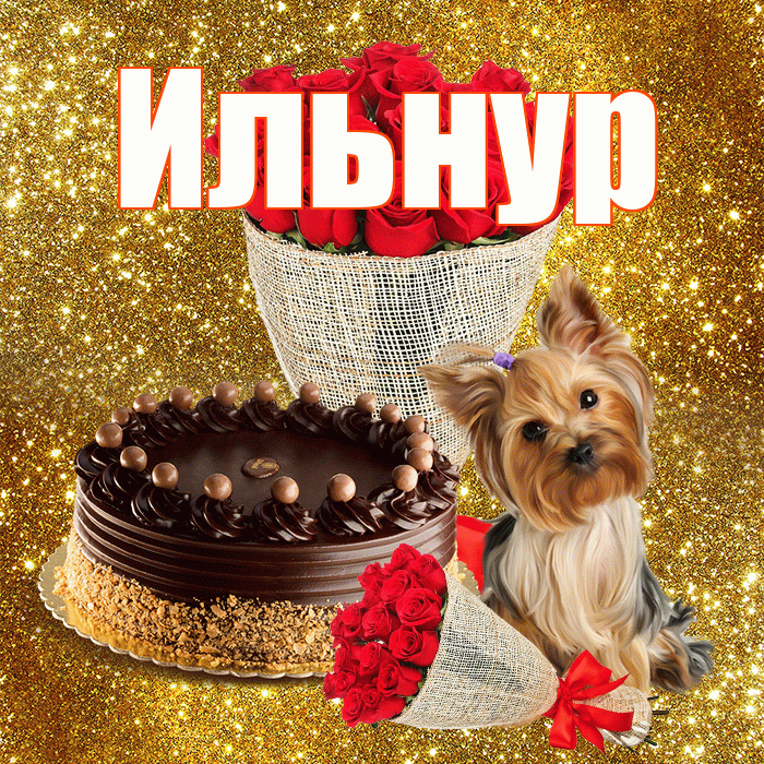 Ильнур! С днем бухгалтера! Красивая открытка Ильнуру!