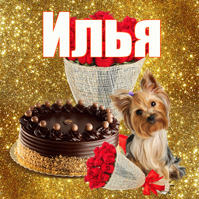Илья! С днем бухгалтера! Красивая открытка Илье!