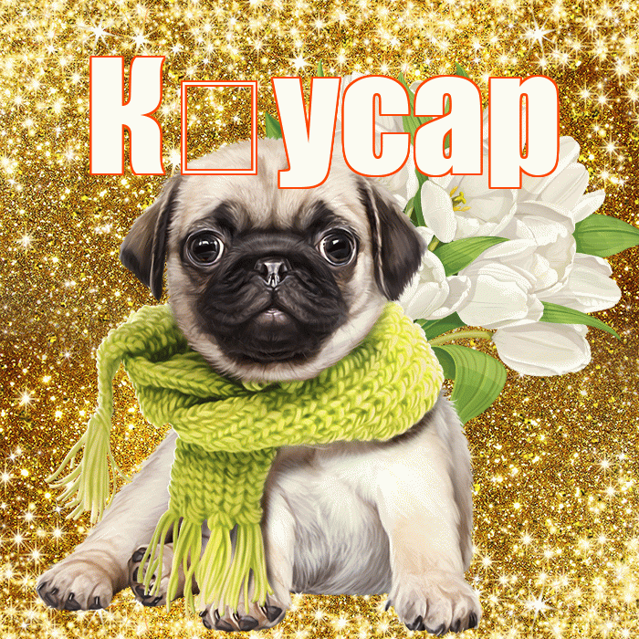 К усар! С днем бухгалтера! Красивая открытка !