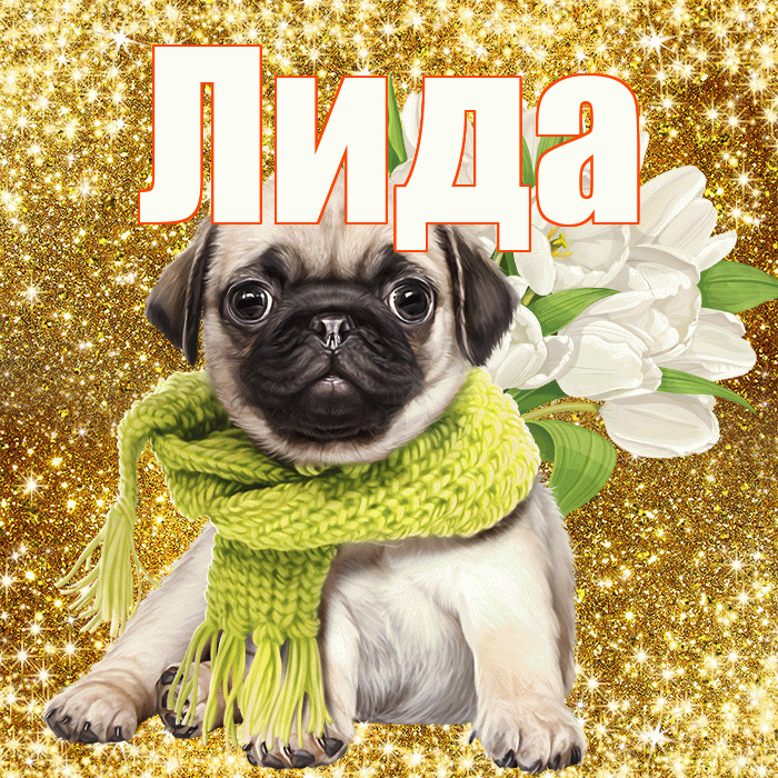 Лида! С днем бухгалтера! Красивая открытка Лиде!