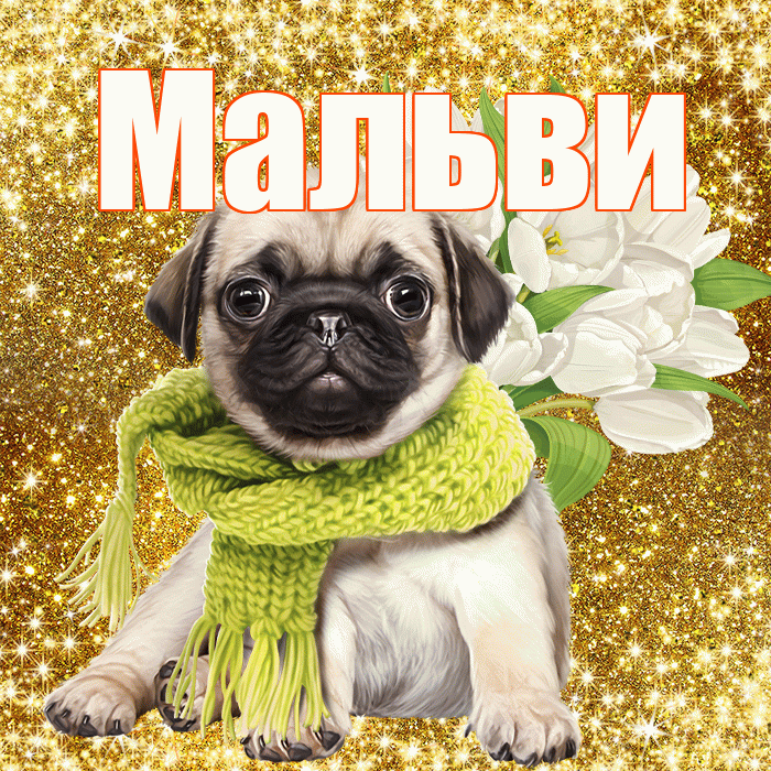 Мальви! С днем бухгалтера! Красивая открытка !