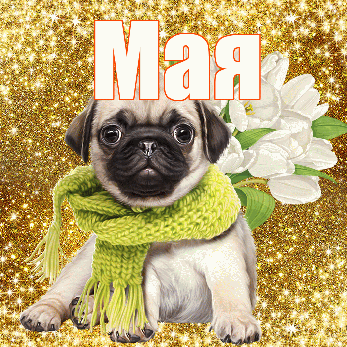 Мая! С днем бухгалтера! Красивая открытка !