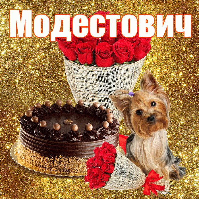 Модестович! С днем бухгалтера! Красивая открытка Модестовичу!