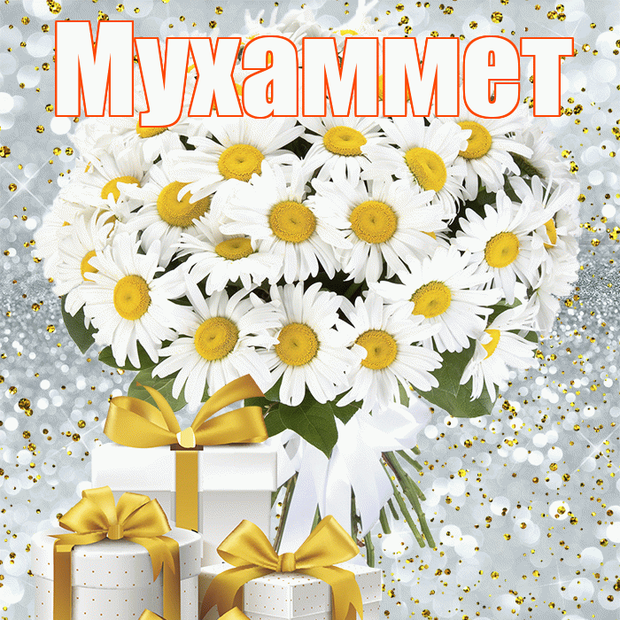 Мухаммет! С днем бухгалтера! Красивая открытка Мухаммету!
