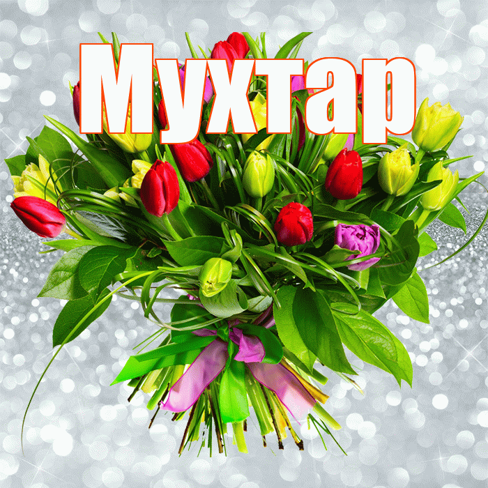 Мухтар! С днем бухгалтера! Красивая открытка Мухтару!