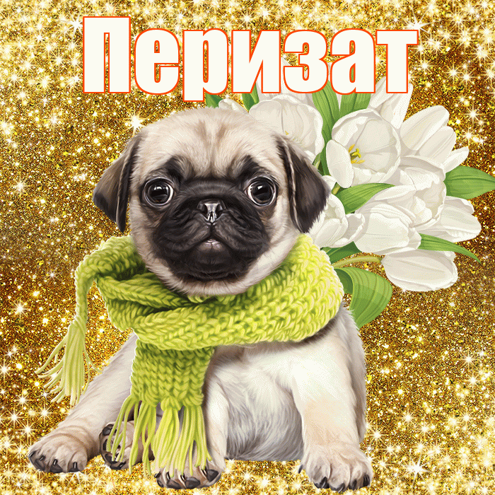 Перизат! С днем бухгалтера! Красивая открытка Перизат!