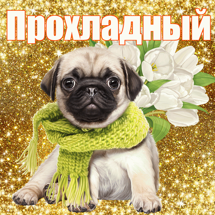 Прохладный! С днем бухгалтера! Красивая открытка Прохладныю!