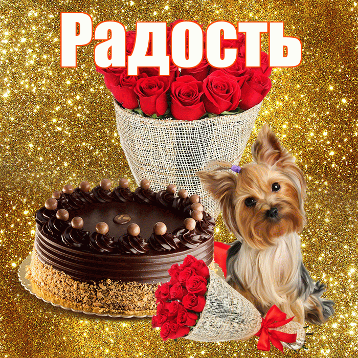 Радость! С днем бухгалтера! Красивая открытка Радости!