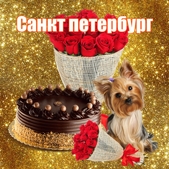 Санкт петербург! С днем бухгалтера! Красивая открытка !