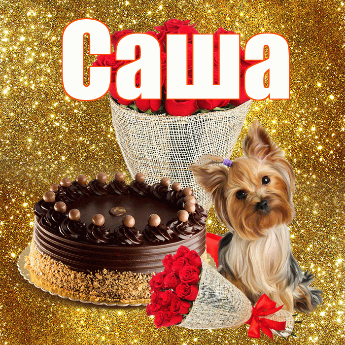 Саша! С днем бухгалтера! Красивая открытка Саше!