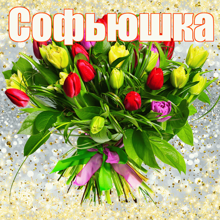 Софьюшка! С днем бухгалтера! Красивая открытка !