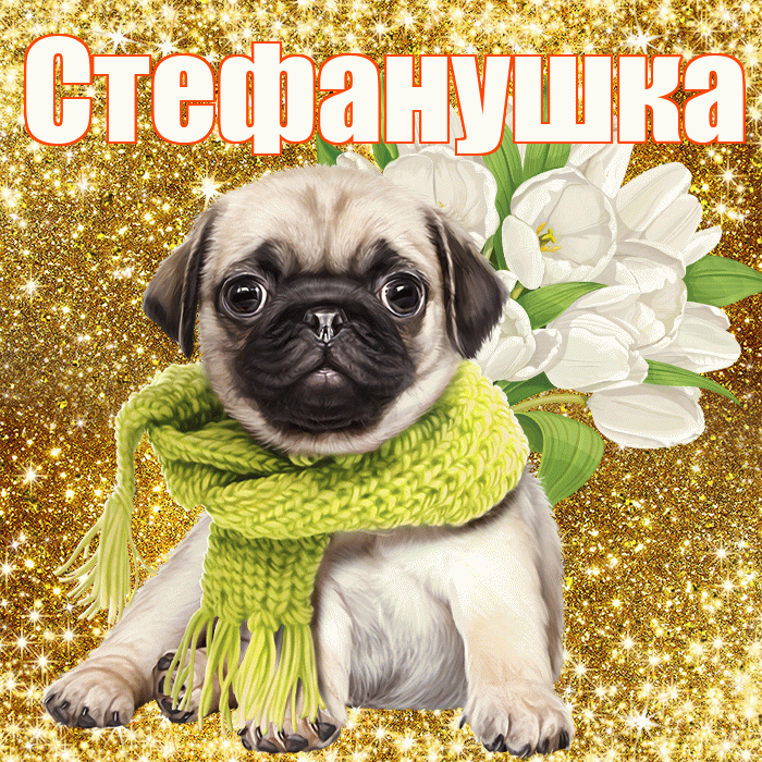 Стефанушка! С днем бухгалтера! Красивая открытка !