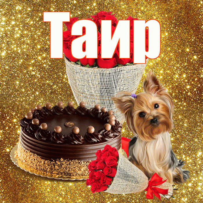 Таир! С днем бухгалтера! Красивая открытка Таиру!