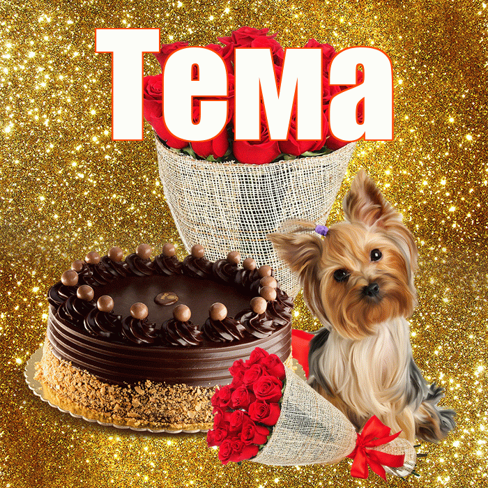 Тема! С днем бухгалтера! Красивая открытка Тёму!