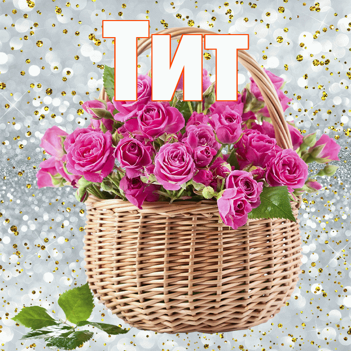 Тит! С днем бухгалтера! Красивая открытка Титу!