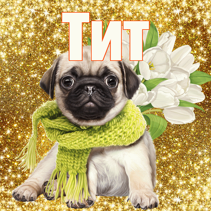 Тит! С днем бухгалтера! Красивая открытка Титу!