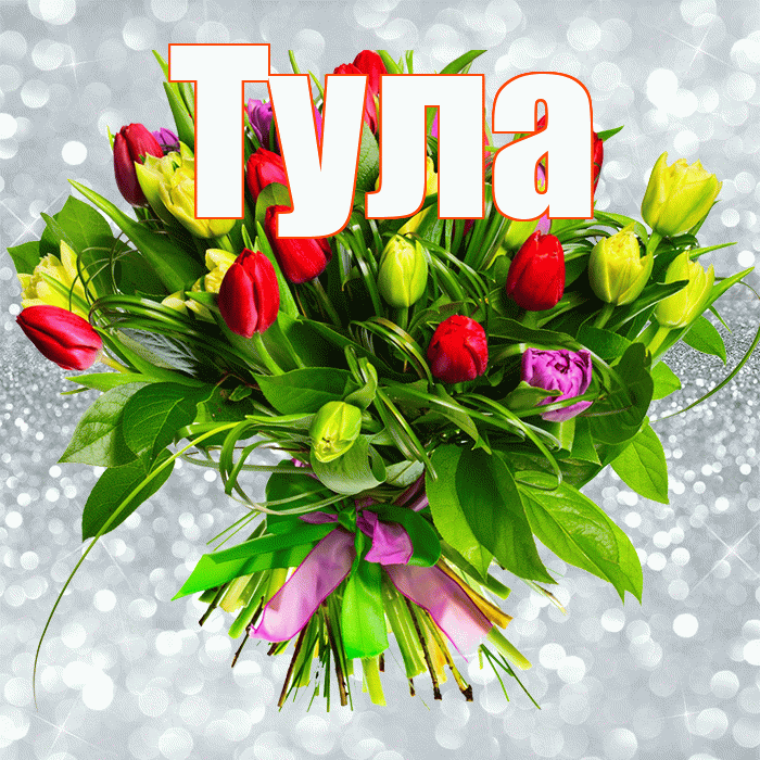 Тула! С днем бухгалтера! Красивая открытка Туле!